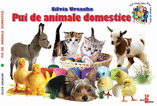 Pui de animale domestice